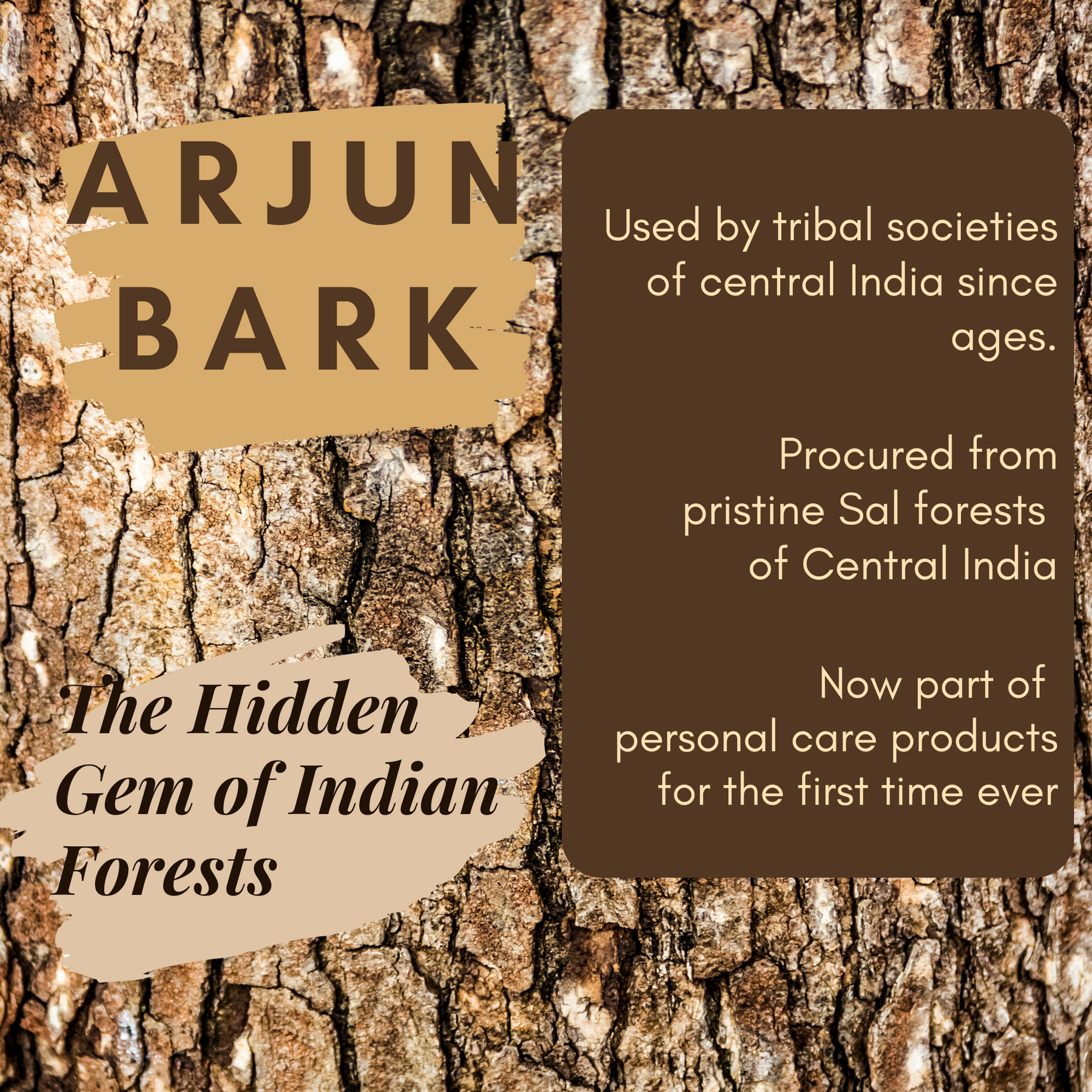 Arjun Bark  Methi Luxury Hair Mask  Forestry 